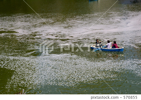 Cherry blossoms at Chidorigafuchi (boat 3 people) 570855