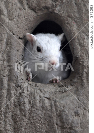 Hi Hiros 2 Hi Hiros 2 571098