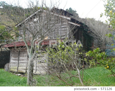 邁肯山農業小屋 邁肯山農業小屋 571126