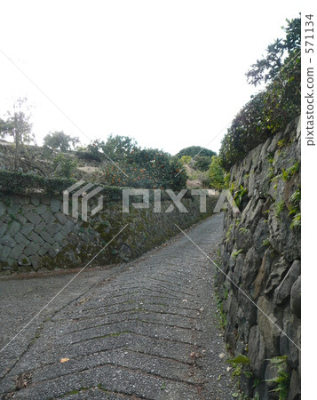 邁肯山路 571134