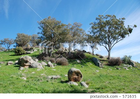 Hilly landscape Hilly landscape 571635