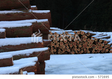 Frozen logs 571695