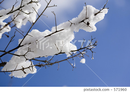 在藍天的雪花 571960