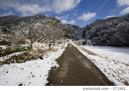 雪山的一條小徑 571962