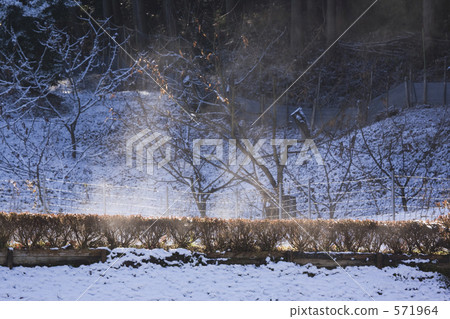 Steam of thaw rises 571964