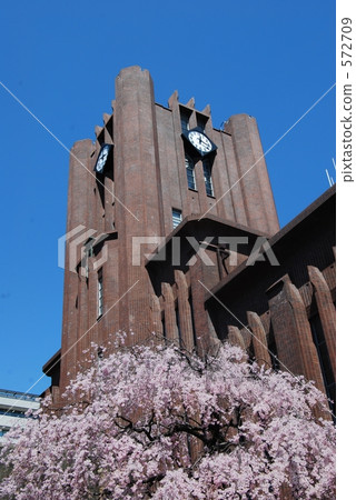 東京大學函館禮堂和櫻花 東京大學函館禮堂和櫻花 572709