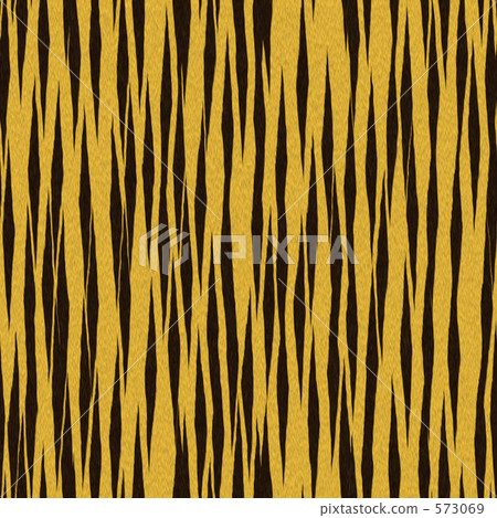 毛皮紋理老虎 573069