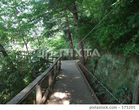 Shakujii Park 573205