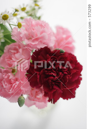 carnation, carnations, flower arrangement 573299