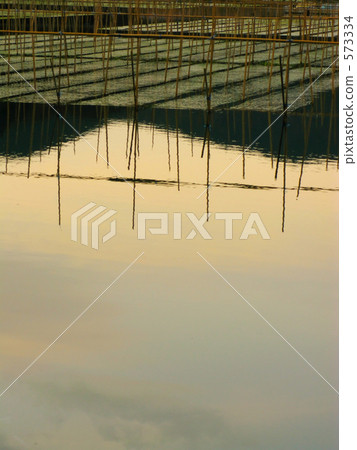 Irie's seaweed culture Irie's seaweed culture 573334