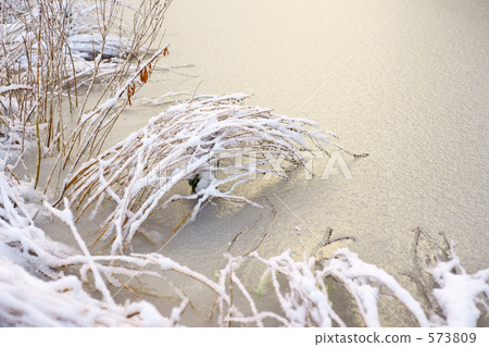 在湖的雪蓋 573809