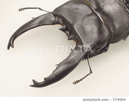 Alkydes Hawthorne Alkydes Hawthorne 574064