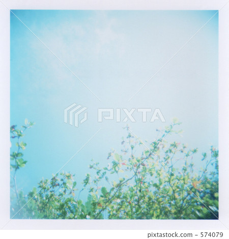 Plants and sky Plants and sky 574079