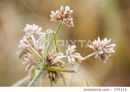 Be marbled Be marbled 574114