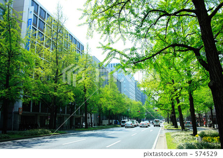 Fresh green Midosuji 574529