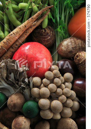 Autumn Harvest 574790