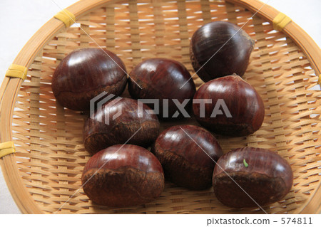 丹波板栗 574811