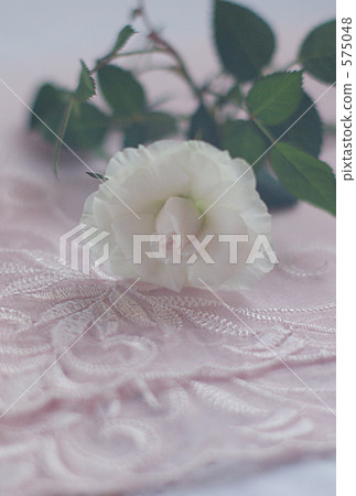 Miniature 575048