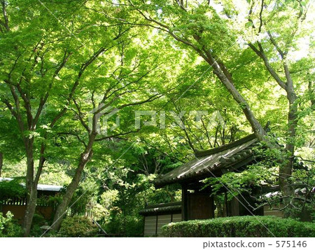 Zuisenji  - 四月 575146