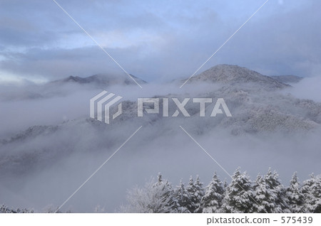 雲海 有霧的 霧 575439