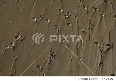 沙灘 海岸 海濱 575459