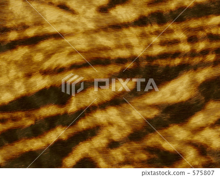 Fur texture material image sale photo wallpaper Fur texture material image sale photo wallpaper 575807