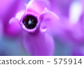 呼吸 575914