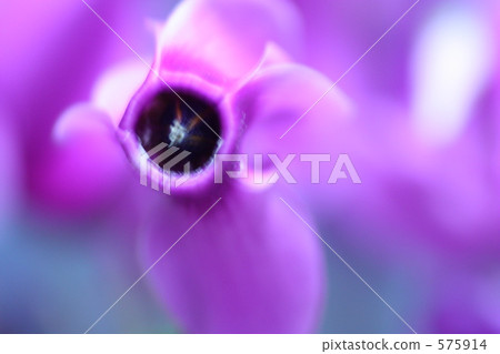 呼吸 575914