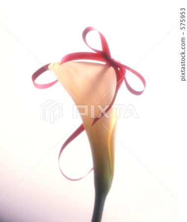 vase for one flower, ribbon, ribbons 575953
