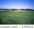hill, biei, mountain 576026