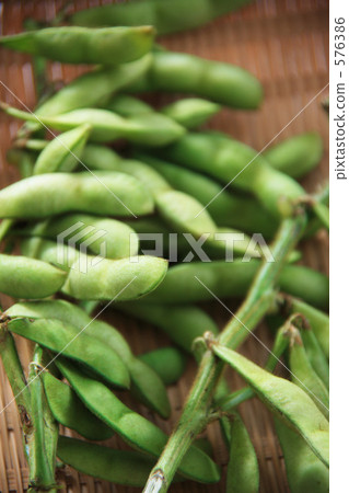 Edamame 576386