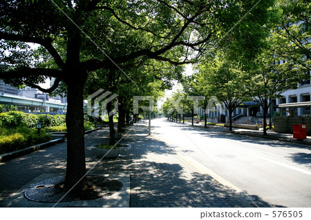 Osaka / Nakanoshima's sidewalk 576505