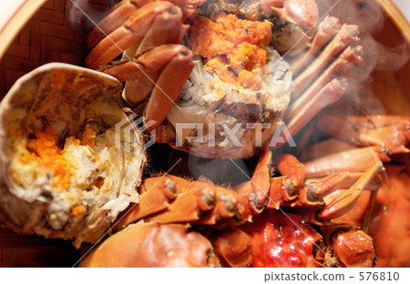 Shanghai Shanghai 576810