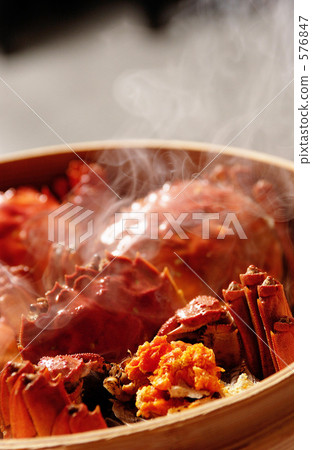 上海上海 上海上海 576847