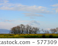 Landscape with rape field 577309