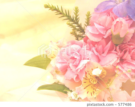 花束 577486