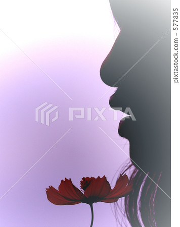 twilight twilight 577835
