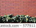 shrubbery, wall, walls 577911