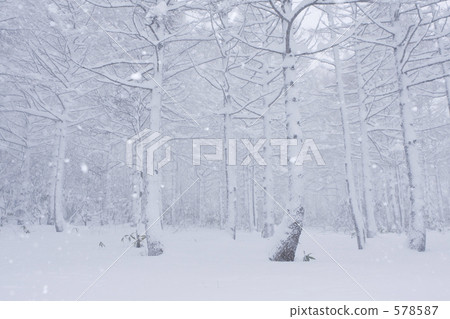 Tnow of heavy snow 578587