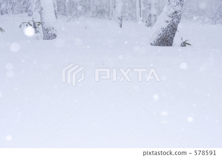 Tnow of heavy snow 578591