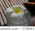 花卉裝飾 杯 玻璃 578643
