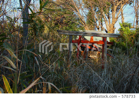Forgotten Torii Forgotten Torii 578733