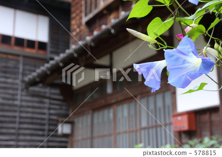 牽牛花和私人住宅 578815