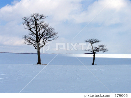 雪 雪景的圖片素材