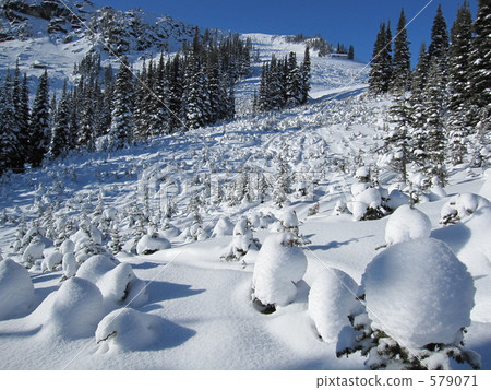雪景 雪景 579071