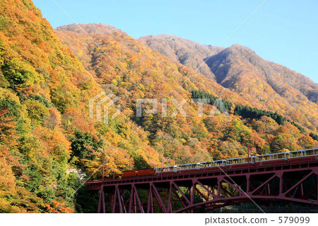 Truck train running in Yamabe Bridge 579099