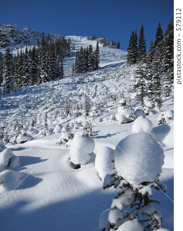 Snow scene Snow scene 579112