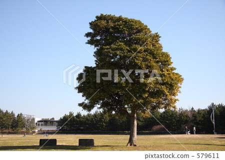 海風惡作劇 海風惡作劇 579611