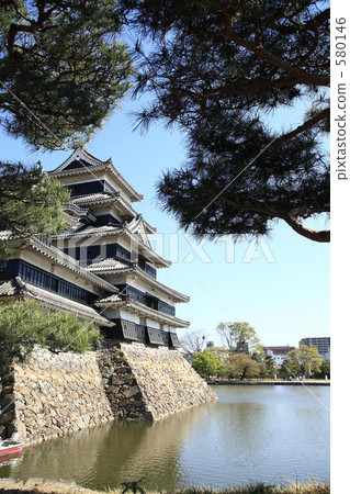 National treasure Matsumoto castle and pine 580146