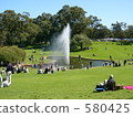 lawn, sward, kings park 580425